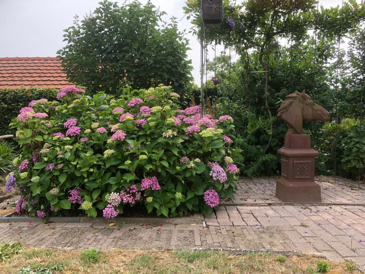 Laaker Villa Nearby Outlet Roermond Ohé en Laak Exteriör bild