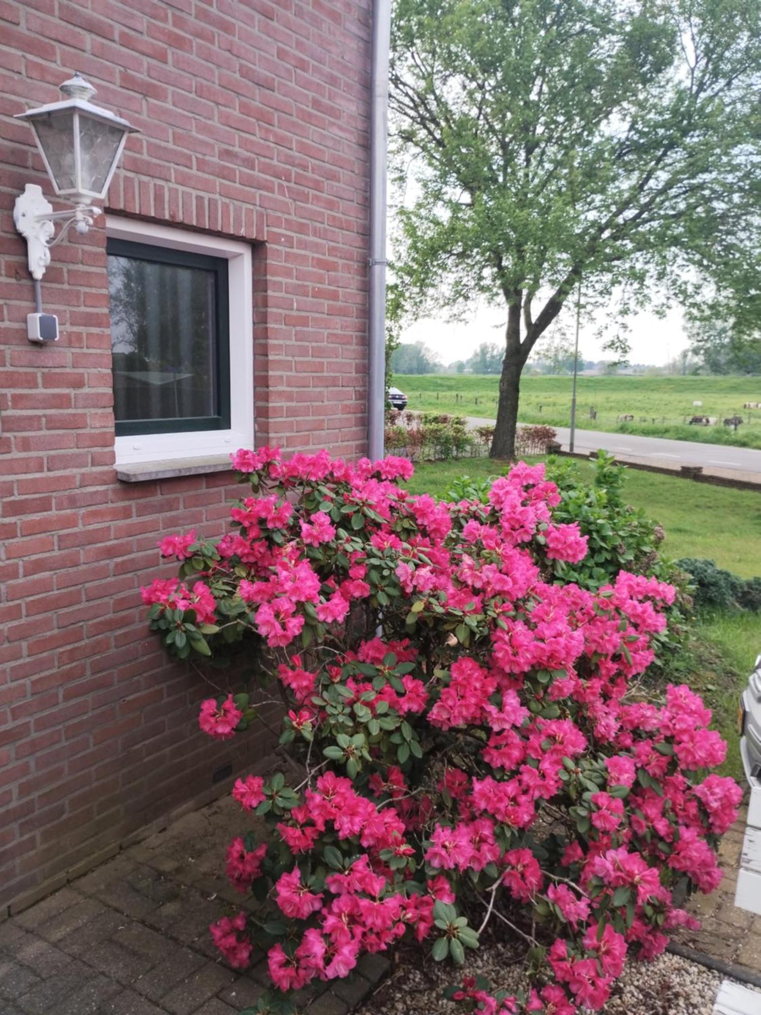 Laaker Villa Nearby Outlet Roermond Ohé en Laak Exteriör bild